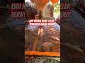 Ternyata masih hidup #shortvideo #short #shorts #trending #trendingshorts #fyp #viral #viralvideo