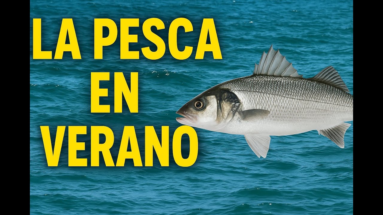 Cómo pescar en verano desde costa: consejos, especies y errores que debes evitar