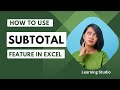 How to Use SUBTOTAL Feature in Excel