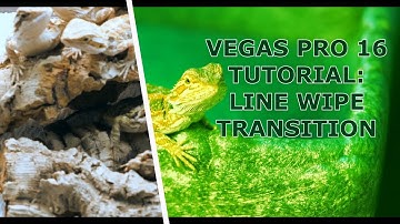 TLV Line Wipe Transition Tutorial for Vegas Pro 16