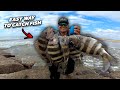 The Jetties are INFESTED With These Fish! Sheepshead Fishing - Vlogmas 22