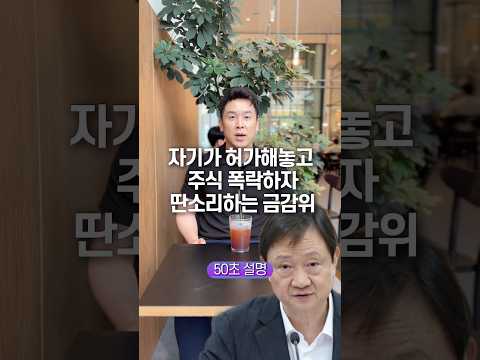 자기가 허가해놓고 주식 폭락하자 딴소리하는 <strong>금감위</strong>, 50초 안에 설명하기