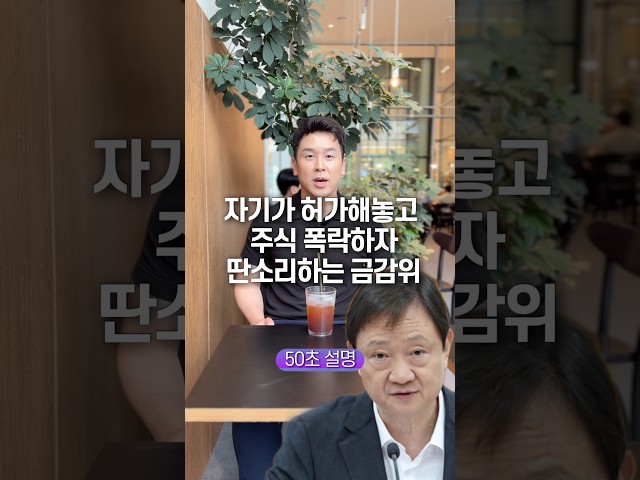 자기가 허가해놓고 주식 폭락하자 딴소리하는 금감위, 50초 안에 설명하기