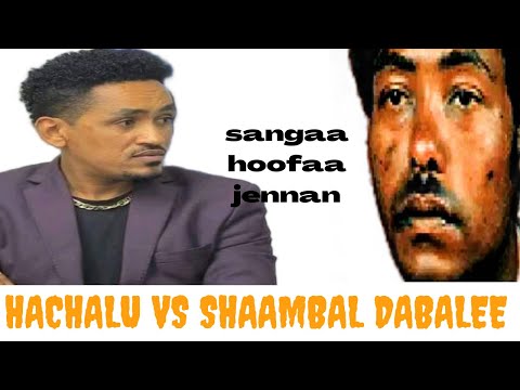 Sirba Ajaa Iba Shaambal Dabalee Ilma Jabaa 