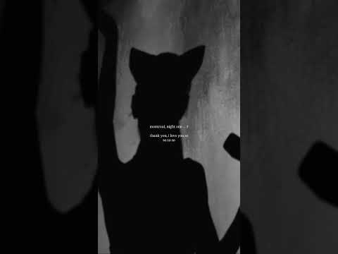 Ariana Grande (@arianagrande) archived Instagram Stories compilation from July 28, 2026