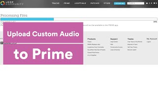 How To Upload Custom Audio To Prime