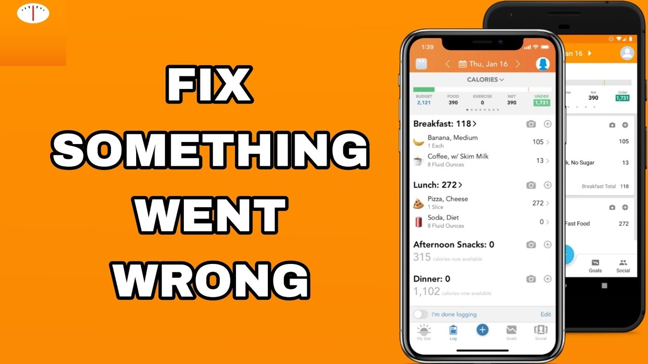 How To Fix And Solve Something Went Wrong On Lose It App | Final ...