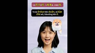 HSK reading comprehension #hsk1 #hsk2 #hsk #chineseteacher #chineselearning #chinesemandarin #hanyu