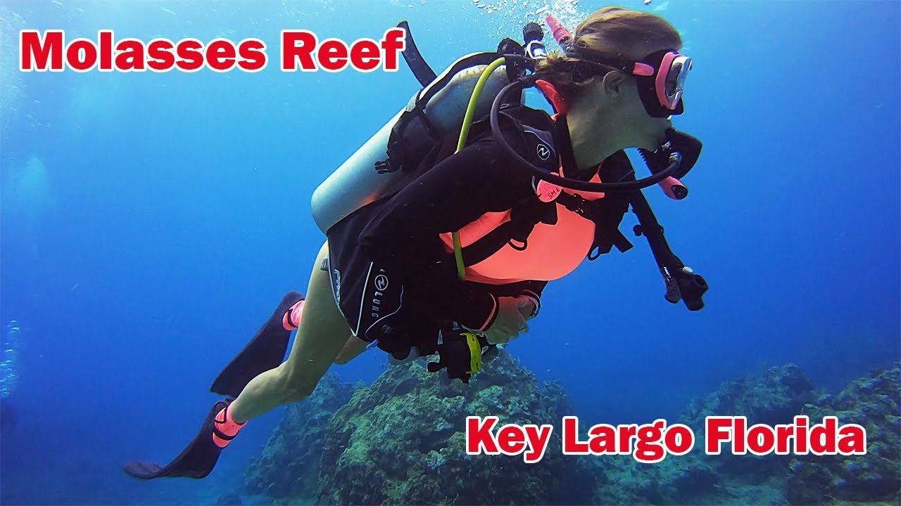 Diving Molasses Reef Key Largo Florida