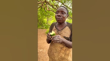 #hadzabetribe #africa #fight #wildlife #nature #nature #challenge #trending #viralreel