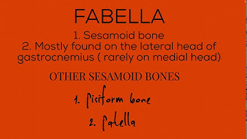 A bone named FABELLA 😀