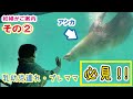 乳幼児連れ・プレママにやさしい動物園　その②　【千葉市動物公園公式】