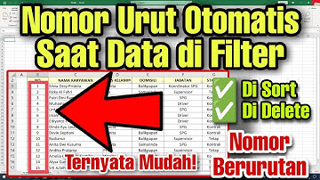 Cara Membuat Nomor Urut Otomatis Setelah di Filter Pada EXCEL