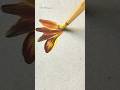 Amazing Flower Painting with Brush Only 🎨 | Easy & Satisfying Art Tutorial#shortvideo #viral