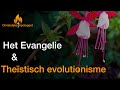 Het Evangelie en theïstisch evolutionisme?