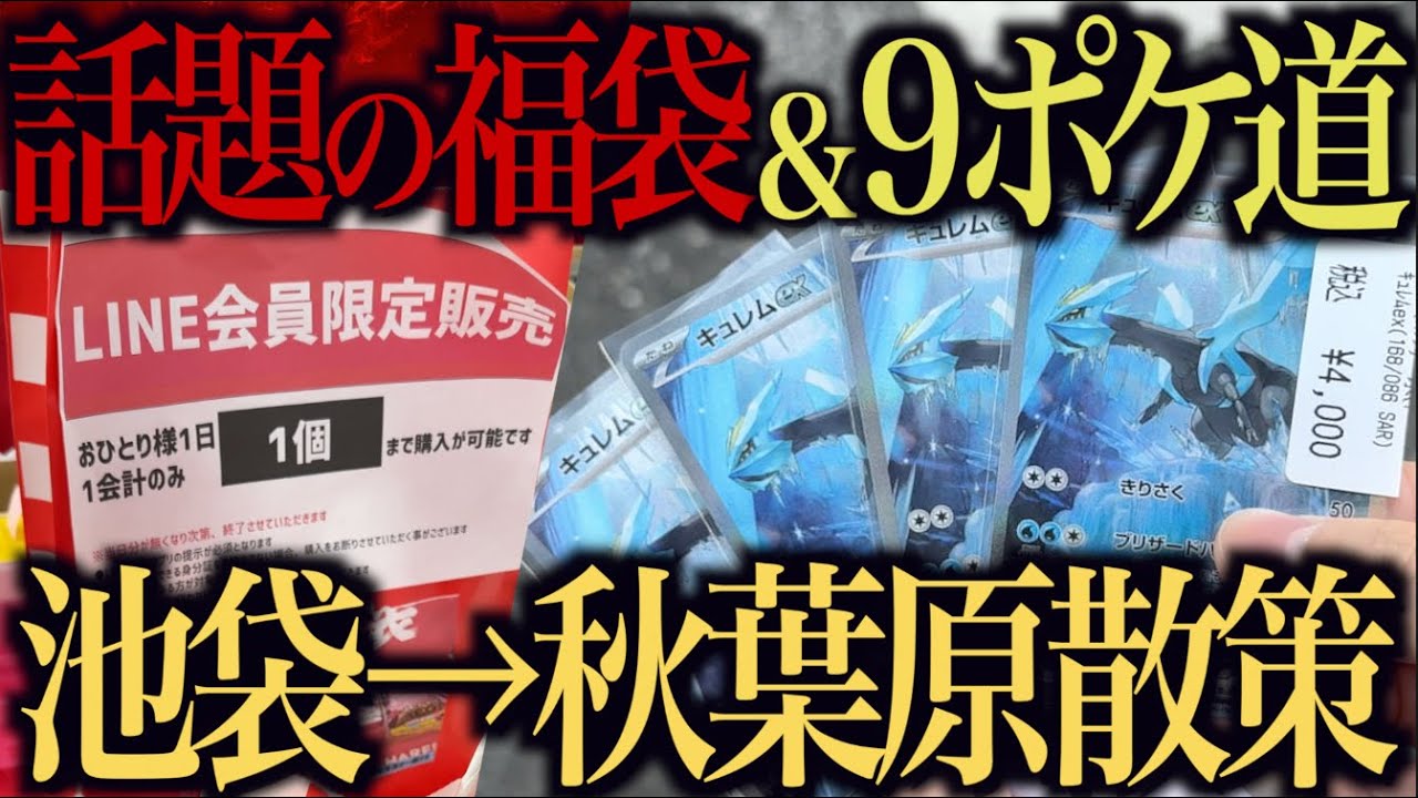 【開封動画】Xで話題になった5万円福袋開封とカドショ巡ってファイル9ポケを完成させる！【ポケモンカード】