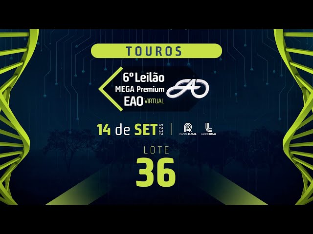 LOTE 36