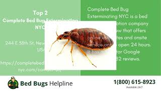 Top 3 Bed Bug Removal in Bellview