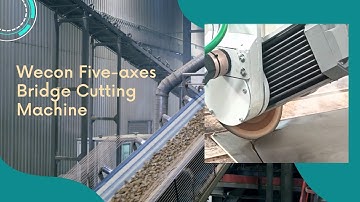 Wecon Five axes Bridge Cutting Machine Solution