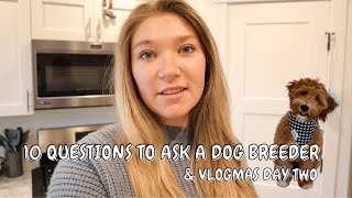 10 QUESTIONS TO ASK A DOG BREEDER | VLOGMAS DAY TWO by Allie Hoth 464 views 1 year ago 18 minutes