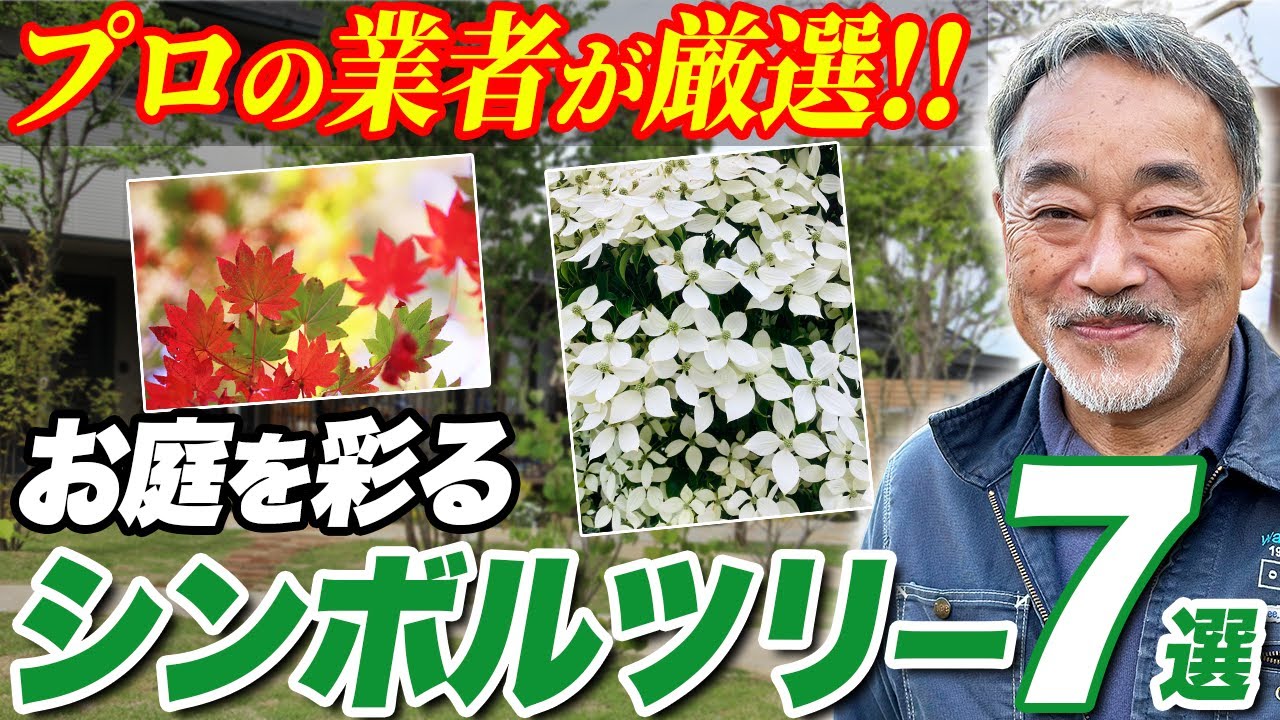A must-see for garden lovers!] Attractive flowers and fruits