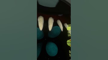 The Void BLOOP In Subnautica