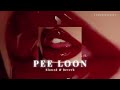 Pee loon  slowed  reverb l mohit chauhan  l themessyedits