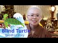 Buddhist Story | A Blind Turtle Lives Over 1000 Years | Metaphor told by Buddha| Master Miao Yin盲龜浮木