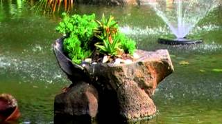 relax music with park footage sleep relax study screenshot 5
