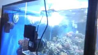 RR wave maker EV in Malaysia 7Ft Tank