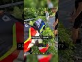 He Saw a Fallen Tree… Then Did This ❤️🌳#shorts