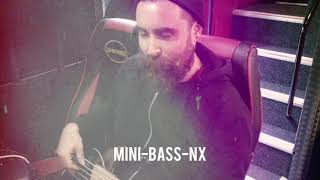 Skindred's Dan Puglsey checks out the MINI-BASS-NX