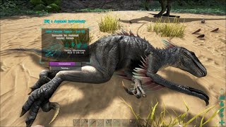 How to Tame raptor Ark survival evolved episode 5