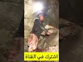 أكبر زمردة في العالم لا يمكن لأي أحد شراؤها رفاهية مال تكنولوجيا