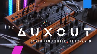 BEHRINGER CRAVE  synth jam / enter the pyramid