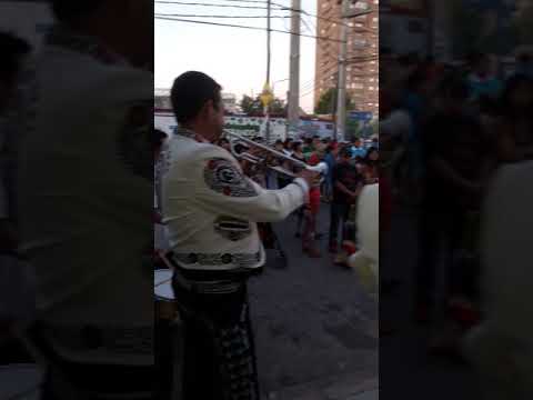 Procesion de la Virgen de la Puerta en barrio Alberdi Cordoba(1) camera iphone 8 plus apk