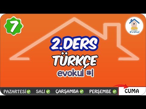 Fiilde Yapı | 7. Sınıf #evokul Kampı