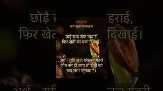 farming life is best #farming #music #punjabisong #farming