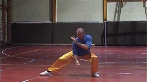 Chen Tai Chi 48 form (si shi ba shi) Part 1
