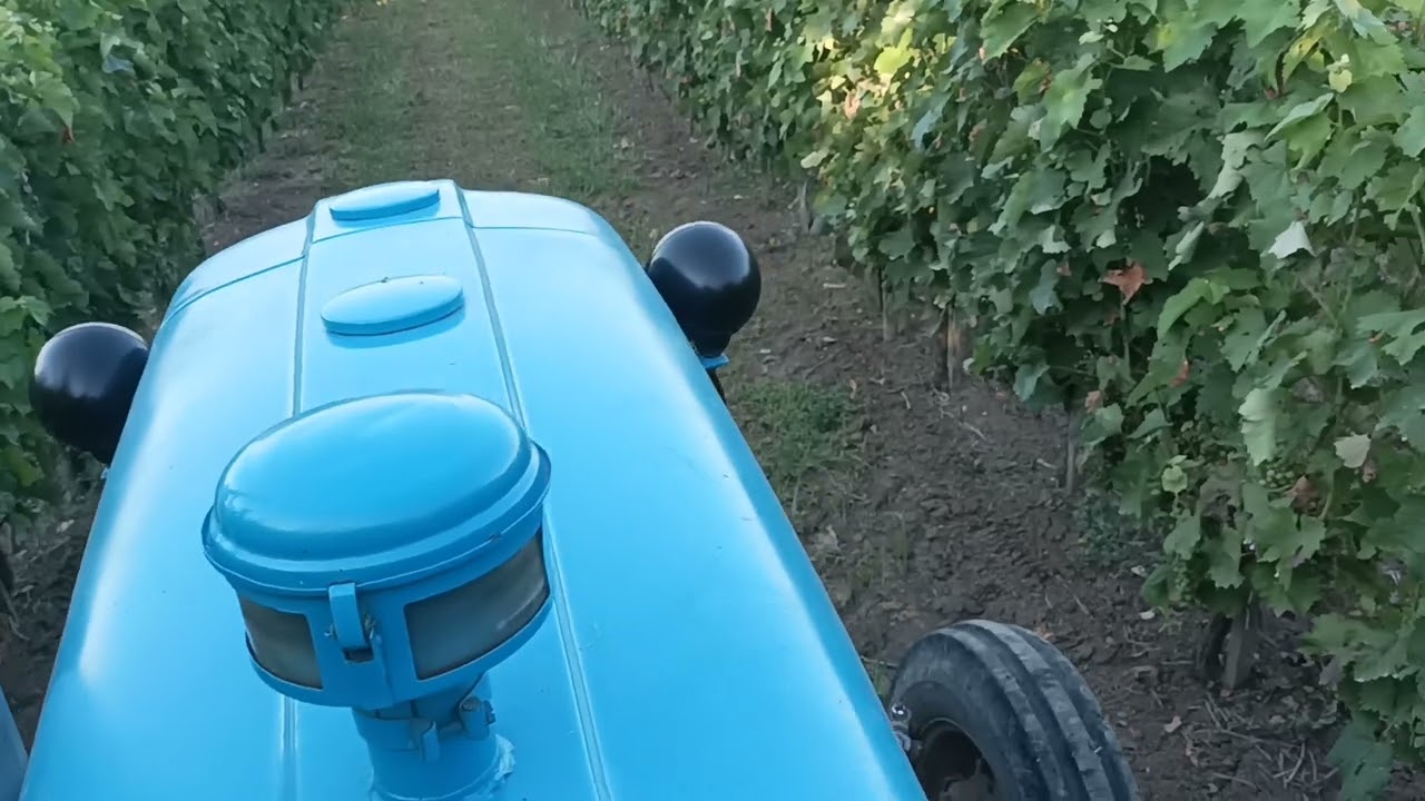 Primer zasto je rakovica bolji radnik od 558/560 ne gubim vreme u okretu samo vatra