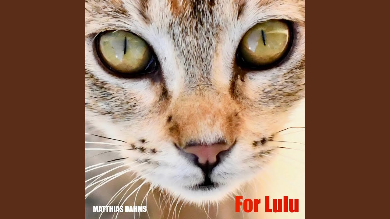 For Lulu (Radio Edit)