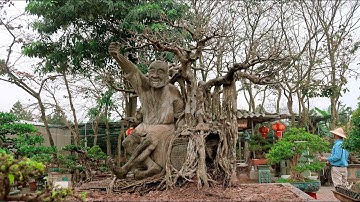 Cây Sanh Quê Có Dáng Rất Độc Đáo Tại HTX Thăng Long (LH 0399903128)