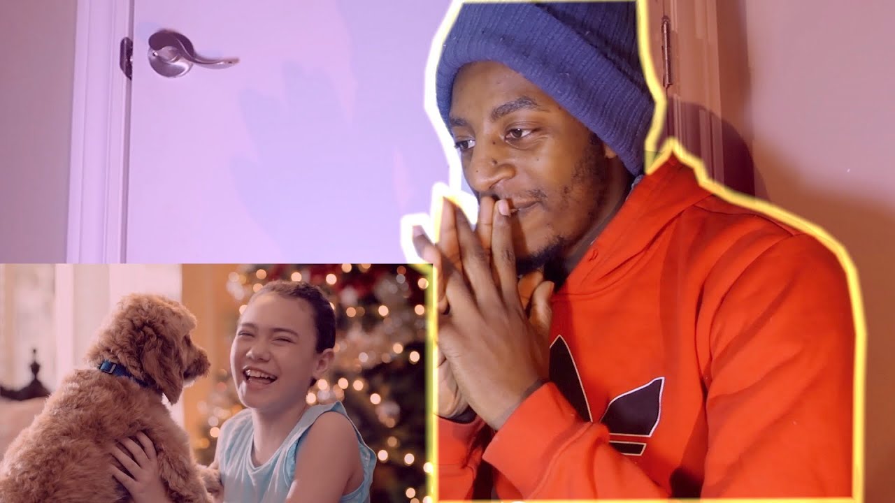 Because you can never have too many dog videos CreateNewTraditions