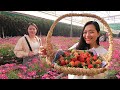 Toàn cảnh làng hoa Đà Lạt Siêu đẹp ngày Tết 2021 | Đi hái Dâu Tây ăn tại vườn 400k/kg cùng Ánh Kua
