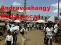Andravoahangy 🐮 Marché le plus important de Antananarivo 🐷 Madagascar -LaReunionTV-