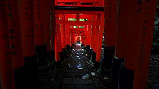Dźwięk ciszy, trzeba też umieć to docenić 👀 Obejrzyj przynajmniej 4,08 sekundy #torii #cisza #spokój