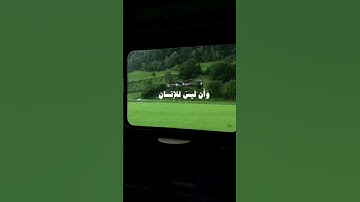 و أن ليس للإنسان إلا ما سعي | راحة نفسيه #قرآن #قران_كريم #تلاوة_خاشعة #7millionviews #explore #fyp