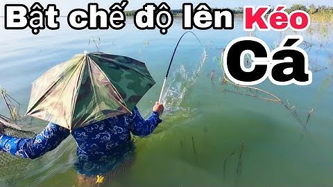 Bất Ngờ Bảy Câu Thứ 3 Cá Ăn Liên Tục Câu Hoàng Đế Hồ Trị An hải vlog Fishing
