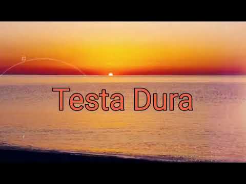 Testa Dura