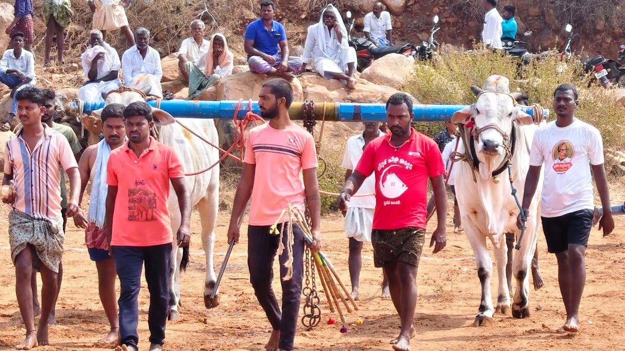 2026-గుర్రబ్బాడు.న్వూకేటగిరి.1వ జత.బిజ్జమ్మగారి వెంకట కృష్ణయ్య గారు ఫిన్నాపురం గ్రామం నంద్యాల జిల్లా